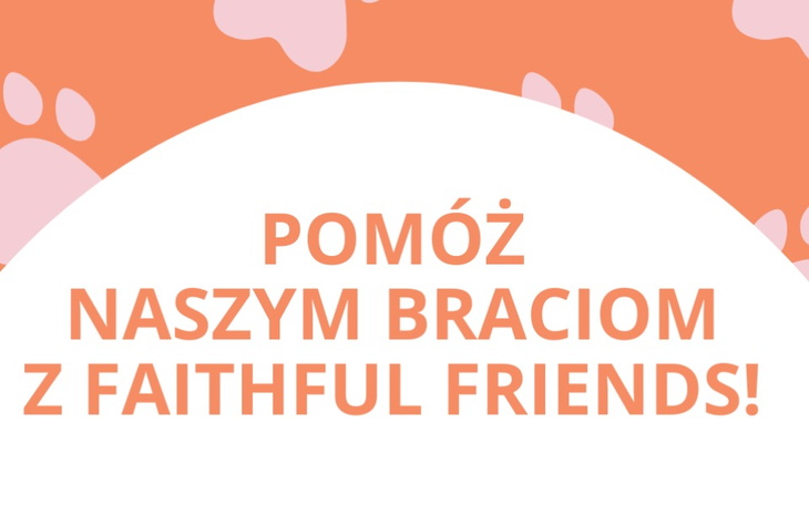 Zbiórka Wsparcie dla Faithful Friends - zdjęcie główne
