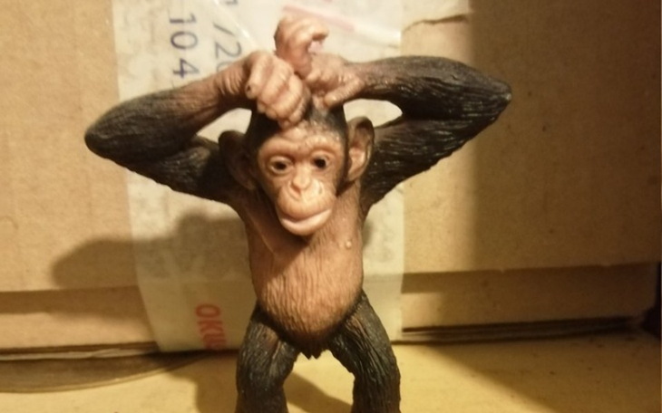 Zbiórka Cukierki - zdjęcie główne