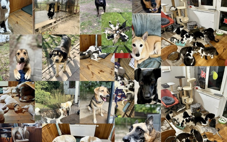 Zbiórka Otul ciepłem na zimę podopieczni - zdjęcie główne