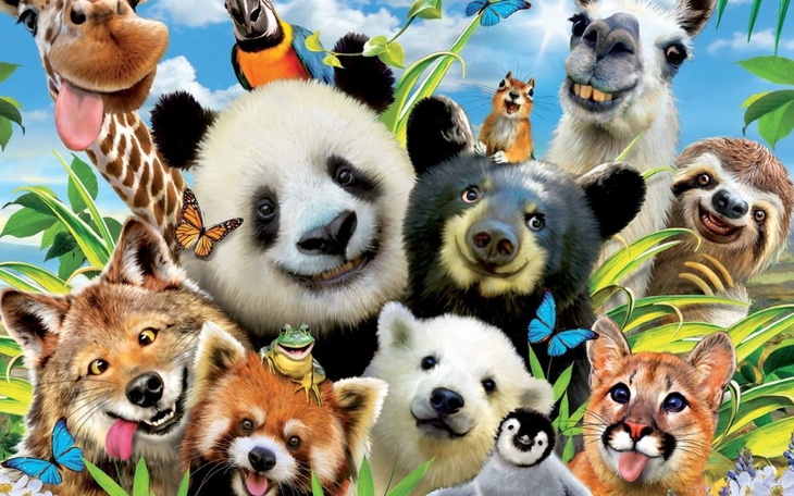 Zbiórka Na zwiezanki - zdjęcie główne