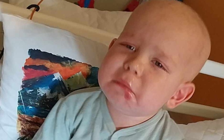 Zbiórka Białaczka 2 letniego Alanka - zdjęcie główne