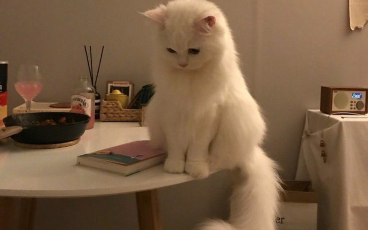 Zbiórka Nowy_ silnik - zdjęcie główne