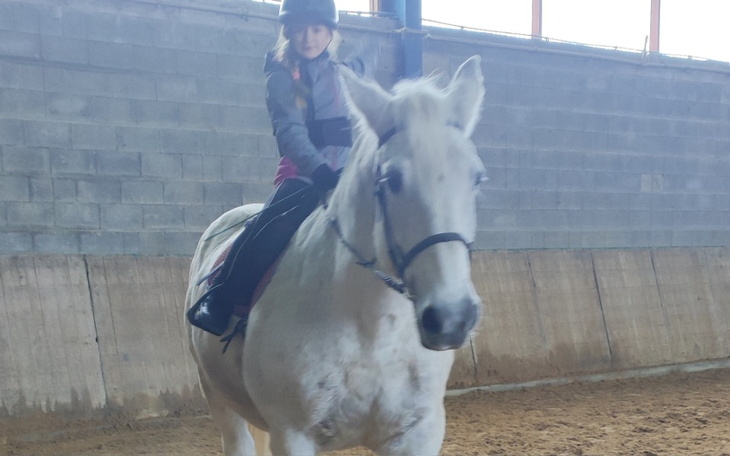Dziecko jeździ na białym koniu w stajni.