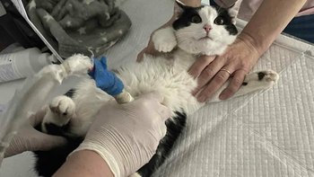 Zbiórka Likier zaczyna inne życie - miniaturka zdjęcia