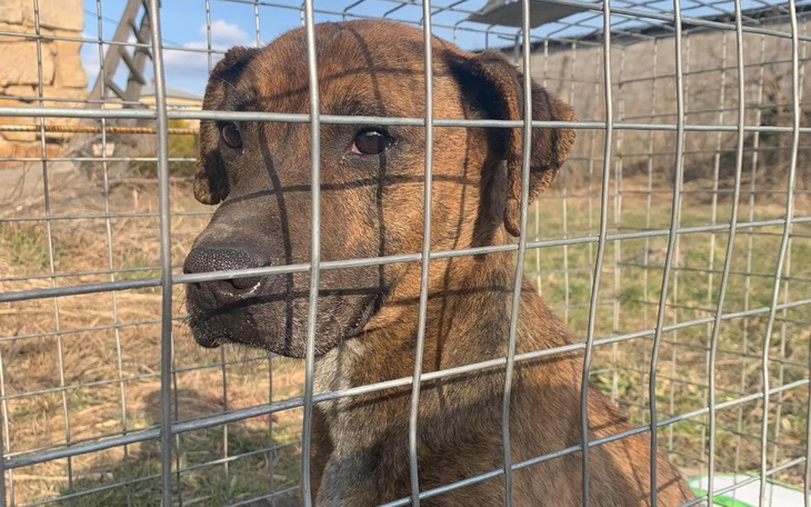 Zbiórka Jeden ze stada na polu- ZŁAPANY - zdjęcie główne