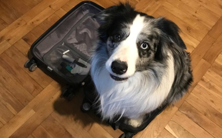 Zbiórka Operacja-Ratunek by móc chodzić! - zdjęcie główne