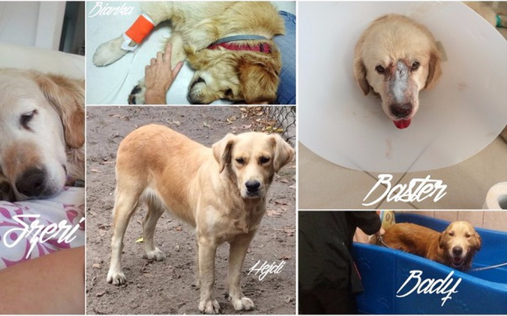 Zbiórka Daj piątaka na Warciaka - zdjęcie główne