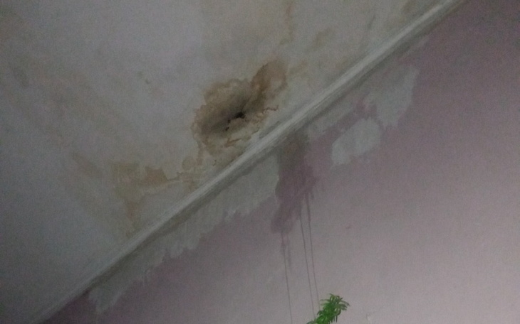 Zbiórka Oddalenie od toksycznej rodziny - zdjęcie główne