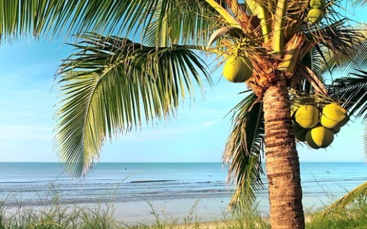 Zbiórka Wakacje pod palmą - zdjęcie główne