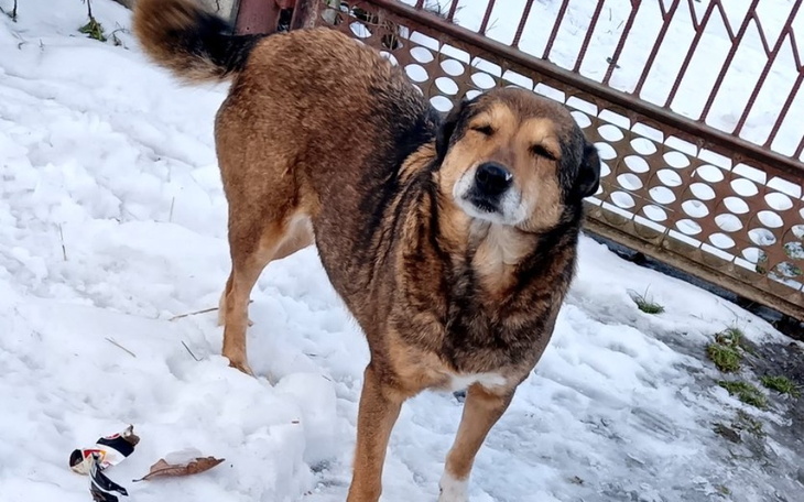 Zbiórka Podstawowe badania i szczepienia - zdjęcie główne