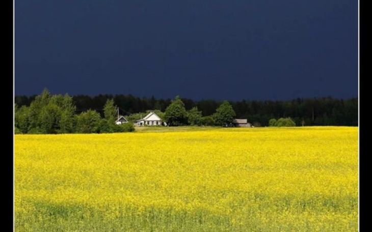 Zbiórka Pomoc dla Julii i Weroniki z Ukr - zdjęcie główne