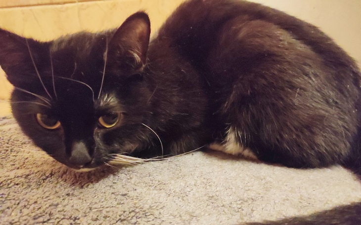 Zbiórka Pomóż Mii w walce z białaczką - zdjęcie główne