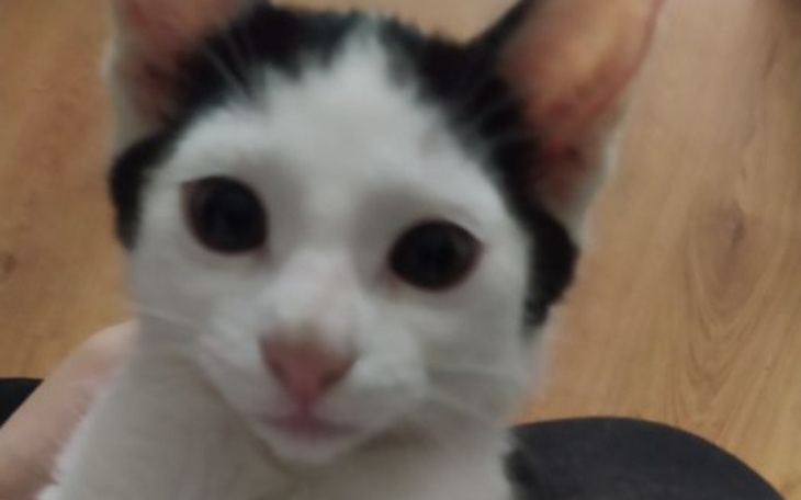 Matka przytula córkę w domowym otoczeniu.