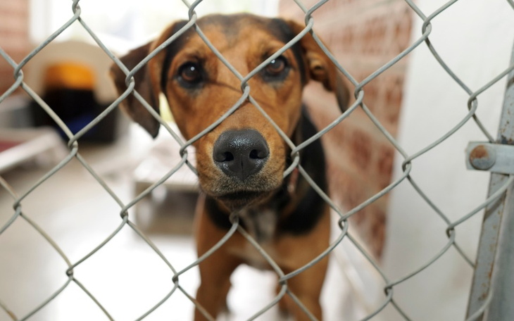 Zbiórka Zbiórka na pomoc12345 - zdjęcie główne