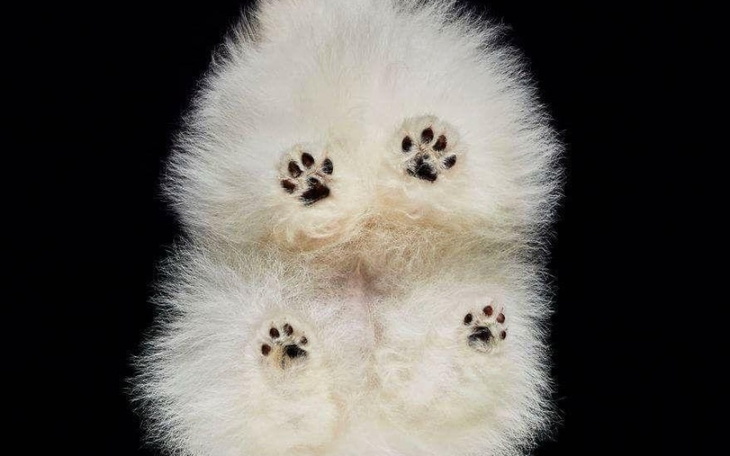 Zbiórka Rekonstrukcja szczęki i dziąsła - zdjęcie główne