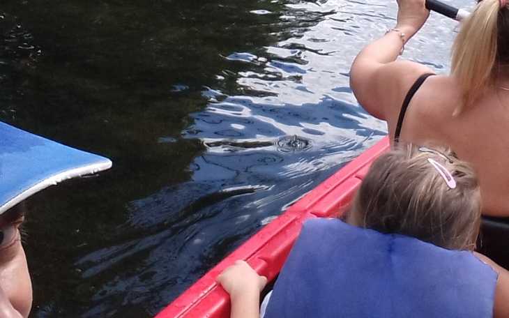 Zbiórka Na działkę rekreacyjną. - zdjęcie główne