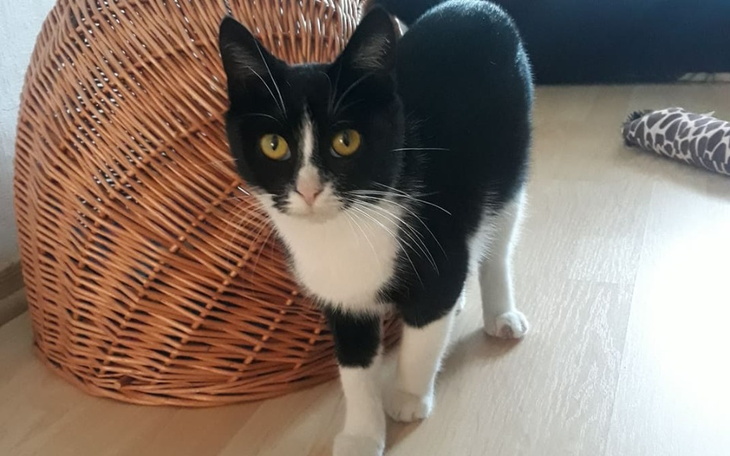 Zbiórka Szansa na życie dla LUNY - zdjęcie główne