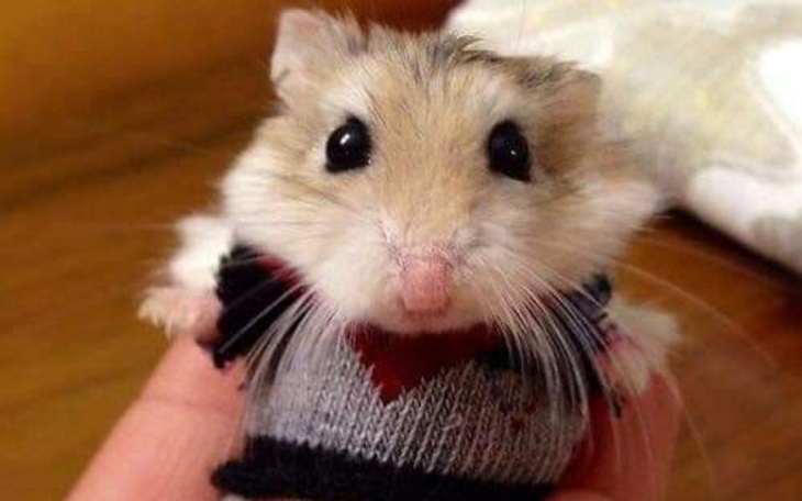 Zbiórka Na rachuneczki - zdjęcie główne