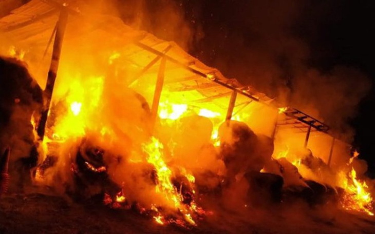 Zbiórka Pomóżmy stajni po pożarze! - zdjęcie główne