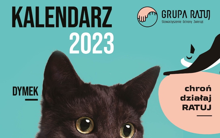 Zbiórka Kalendarze GRUPY RATUJ 2023 - zdjęcie główne