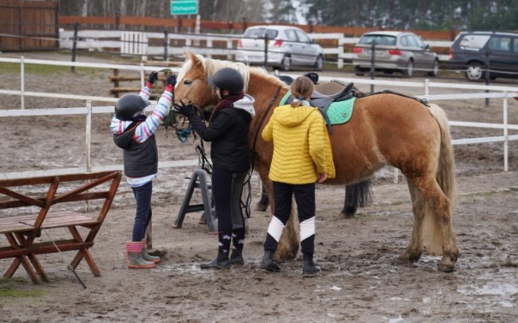 Zbiórka Stadnina Koni - Hipoterapia - zdjęcie główne
