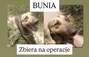 Zbiórka Bunia-ropomacicze - miniaturka zdjęcia