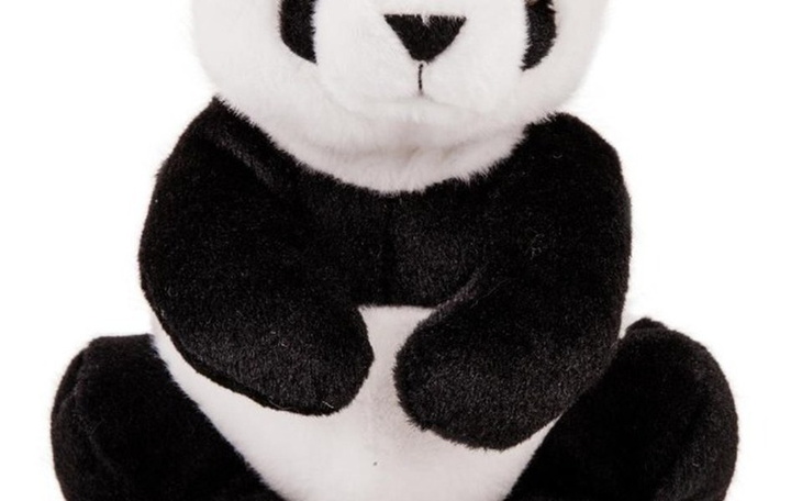 Zbiórka Mój pokój. - zdjęcie główne