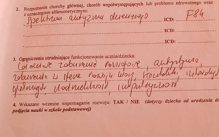 Dokument z informacjami o dziecku i jego potrzebach edukacyjnych.
