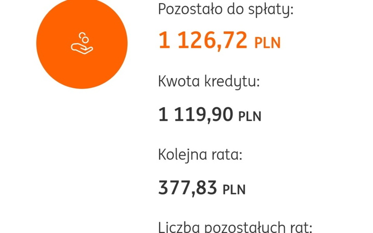 Zbiórka Pomoc dla zagubionego nastolatka - zdjęcie główne