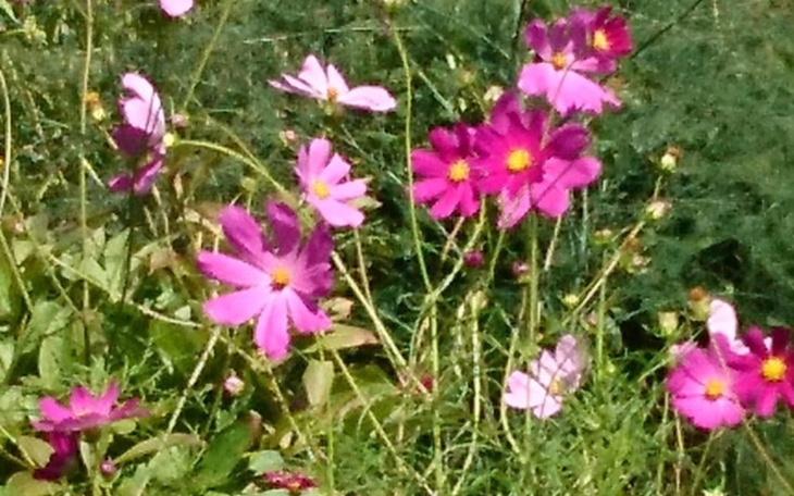 Zbiórka Paryska Przygoda - zdjęcie główne