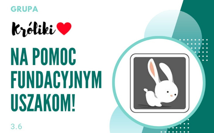 Zbiórka akcjakroliki3_6 - zdjęcie główne