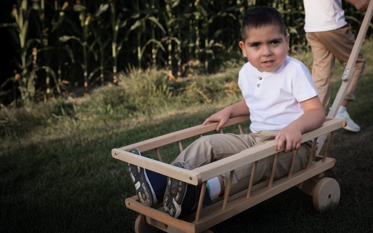 Chłopiec siedzący w drewnianym wózku na tle pola.