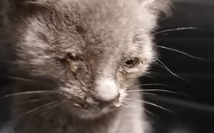 Zbiórka Jak śmieć-kk i duża przepuklina - zdjęcie główne