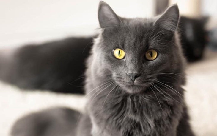 Zbiórka Oddany jak śmieć bo chory - zdjęcie główne