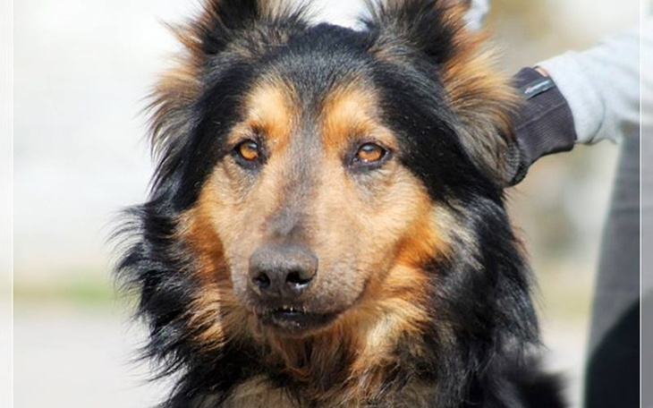 Zbiórka Citroen z Radys Prosi o Pomoc - zdjęcie główne