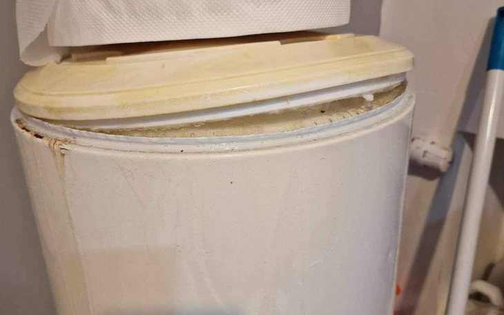 Zbiórka Ciepła woda w kociarni - zdjęcie główne