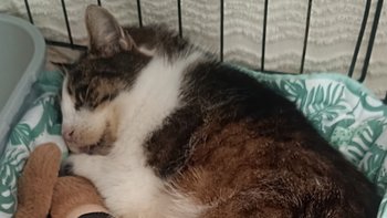 Zbiórka Każdy oddech to walka - miniaturka zdjęcia
