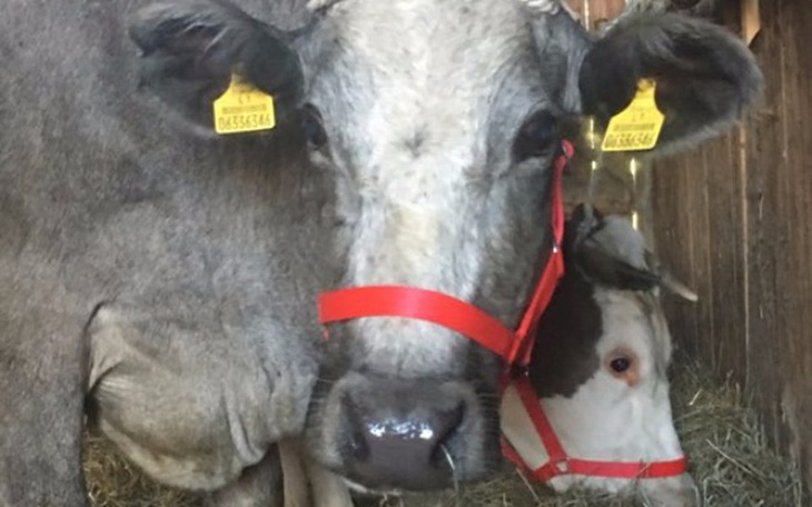 Zbiórka Wygrałam życie - zdjęcie główne