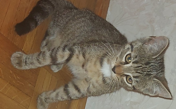 Zbiórka Na pomoc biedom z ulicy - zdjęcie główne