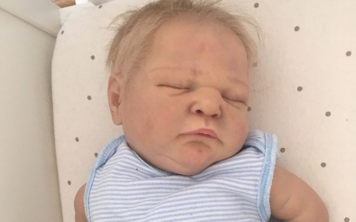 Zbiórka Zbieram na lalkę reborn - zdjęcie główne