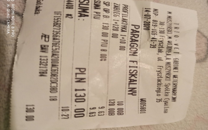 Zbiórka Zaniedbane koty - zdjęcie główne