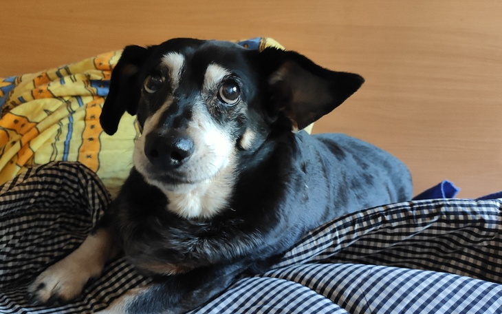 Zbiórka Zapewnijmy starość w zdrowiu - zdjęcie główne