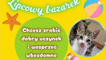Zbiórka Lipcowy Bazarek 26 - miniaturka zdjęcia