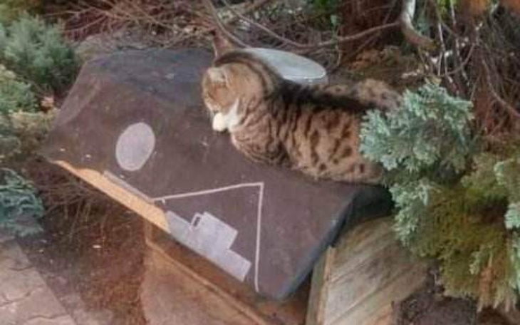 Zbiórka Pomóż nam pomagać dalej. - zdjęcie główne