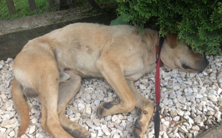 Zbiórka Niewidoczny dla ludzi... - zdjęcie główne