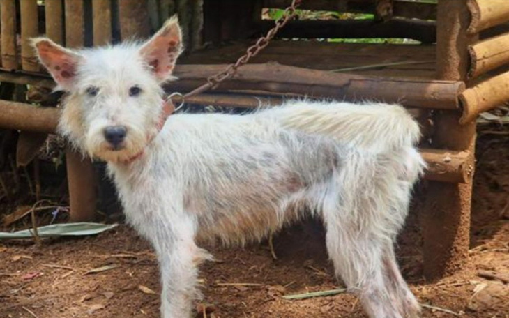 Zbiórka Dziękujemy za wsparcie ŚNIEŻKA - zdjęcie główne