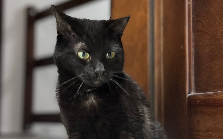 Zbiórka Szansa na ŻYCIE Yukii - zdjęcie główne