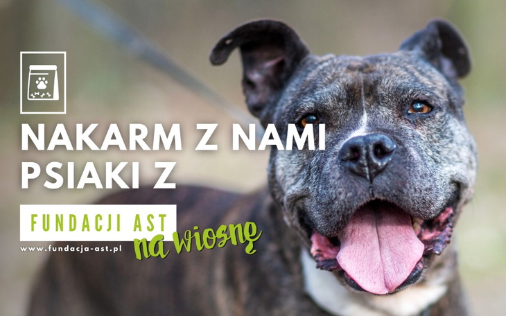 Zbiórka Karmimy ASTy na wiosnę - zdjęcie główne