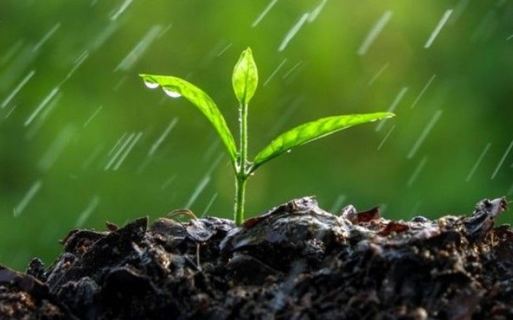 Zbiórka Pomoc naturze - zdjęcie główne