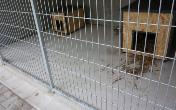 Zbiórka Pomoc zwierzętom ze schroniska - zdjęcie główne